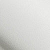 colour_Blanco