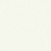 colour_Studio blanco