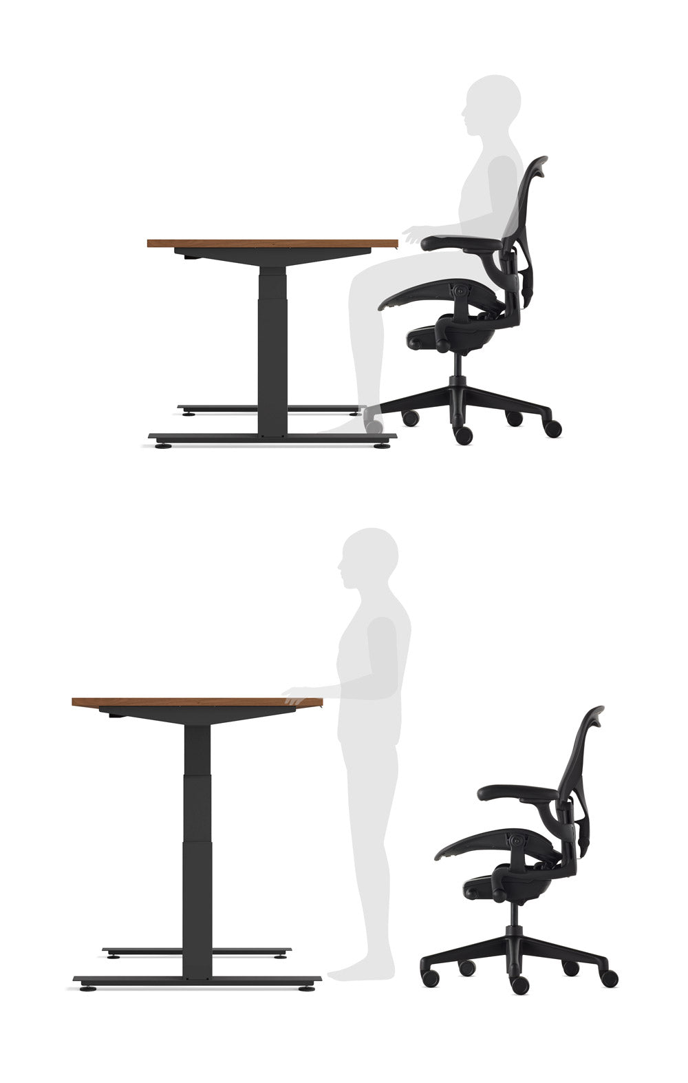 Imagen de estilo gráfico que muestra a una persona utilizando un escritorio sit-stand Nevi tanto en posición sentada como de pie